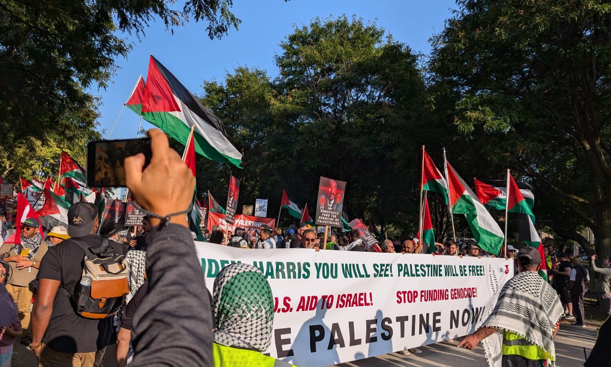 Palestine protesters at the 2024 Democratic National Convention (DNC)